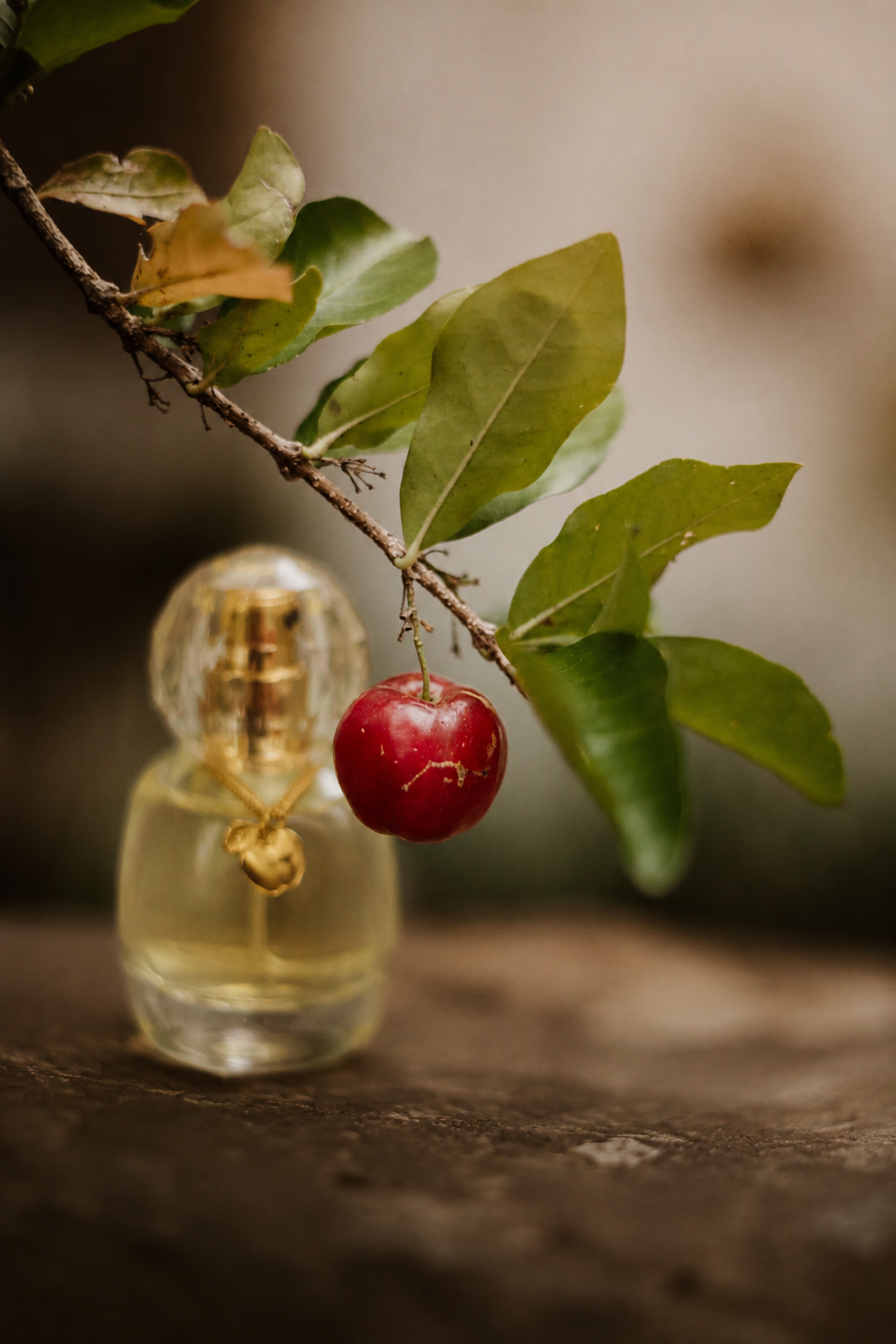 Perfumy Black Cherry Whisper Perfume 30 ml